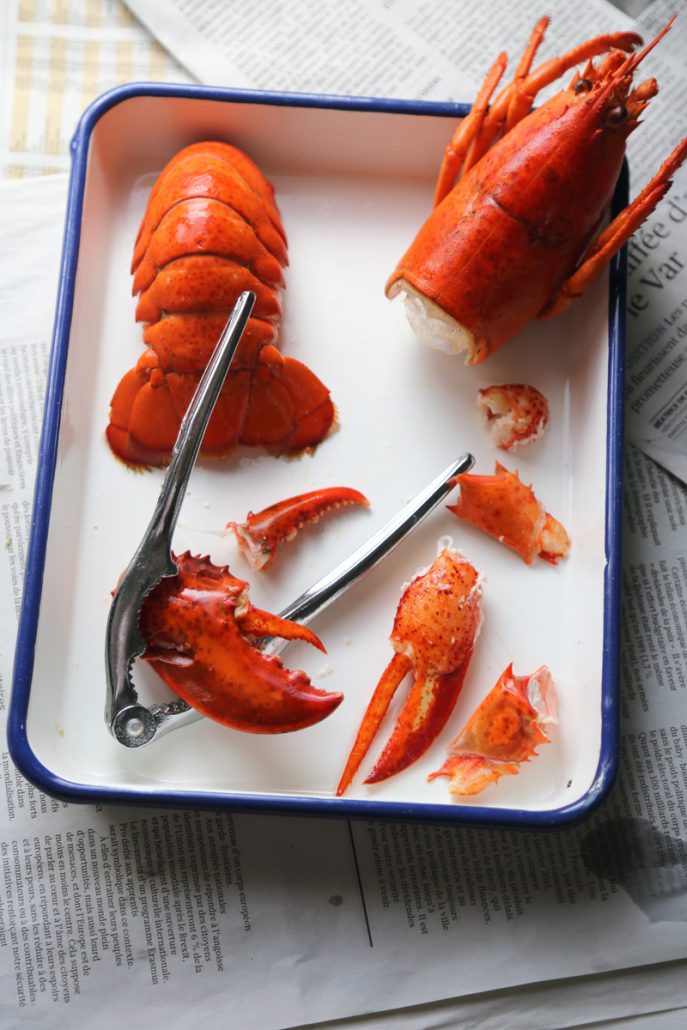 Famille Homard - Ciseaux Homard | Big One fort qui coupe facilement le  crabe et le homard | bol